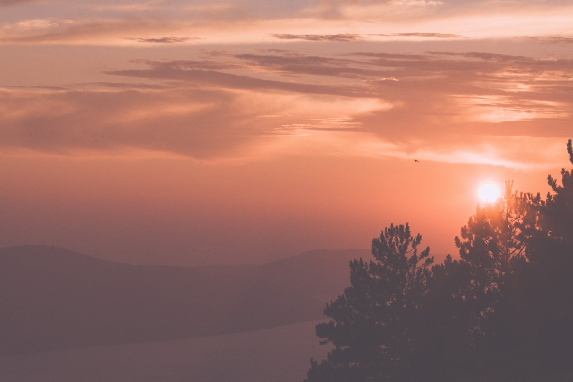 sunset sky over mountainous terrain with growing trees